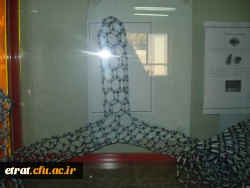 کارگاه فیزیک