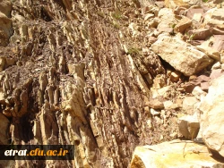 بازدید دانشجویان از منطقه ی لالان و زایگون 4