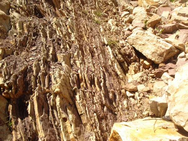 بازدید دانشجویان از منطقه ی لالان و زایگون 4