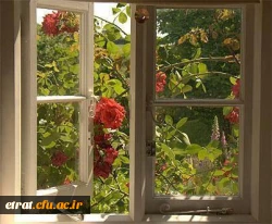 نشست صمیمانه سرپرست مرکز با دانشجویان پیوسته  3