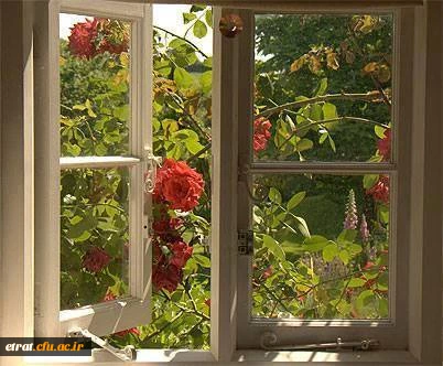 نشست صمیمانه سرپرست مرکز با دانشجویان پیوسته  3