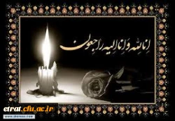 تسلیت به همکار  2