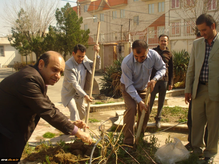 روز درختکاری 2