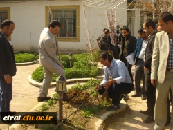 روز درختکاری 3