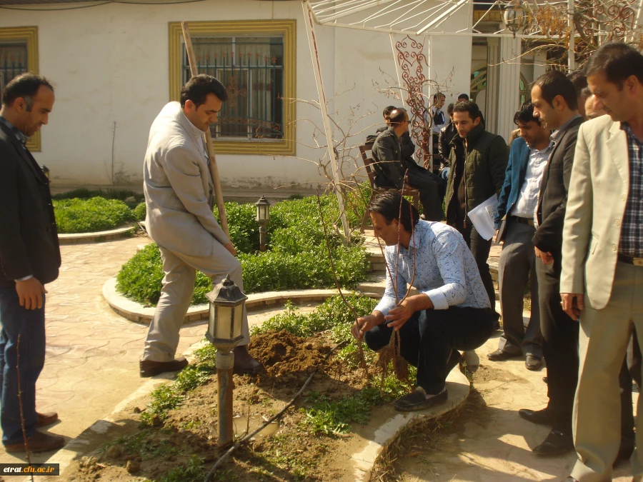 روز درختکاری 3