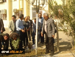 روز درختکاری 4