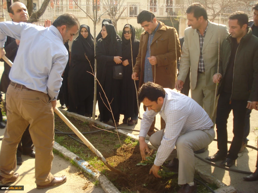 روز درختکاری 6