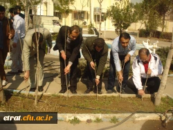 روز درختکاری 8