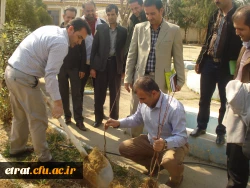 روز درختکاری 10