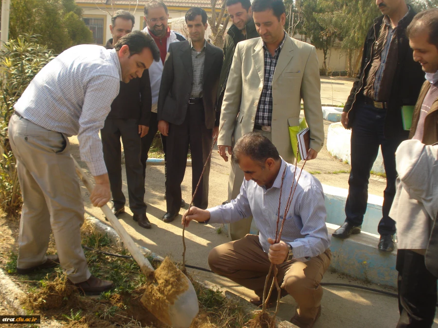 روز درختکاری 10