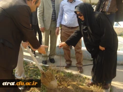 روز درختکاری 11