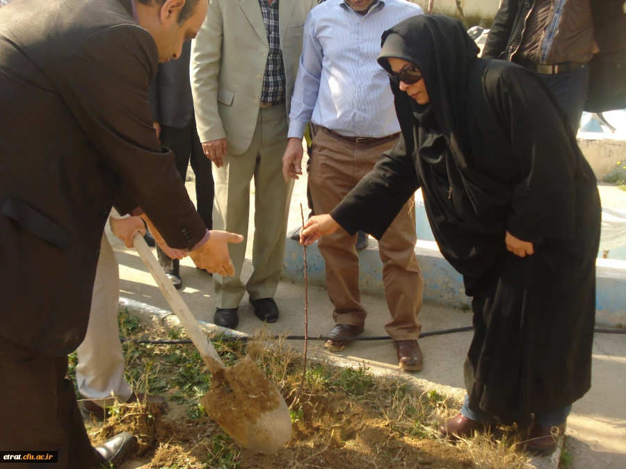 روز درختکاری 11