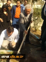 روز درختکاری 13