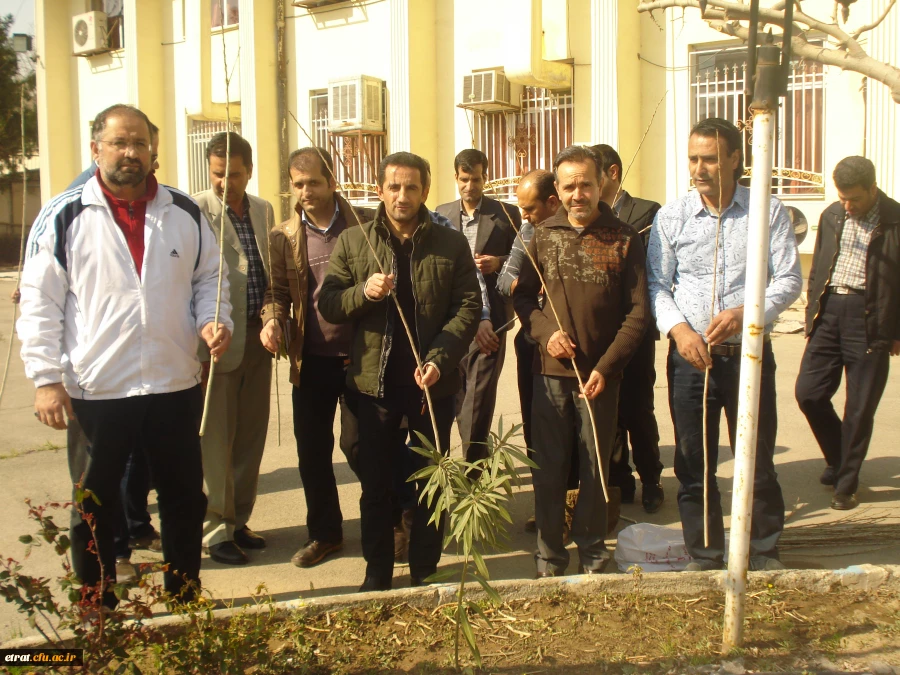 روز درختکاری 14