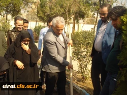 روز درختکاری 15