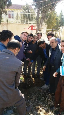 روز درختکاری 4