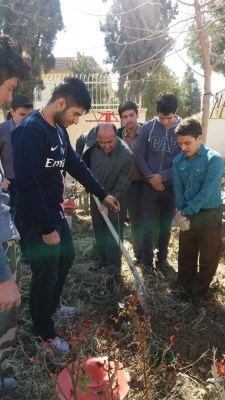 روز درختکاری 6