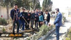 روز درختکاری 7