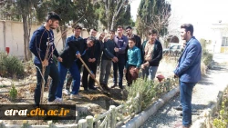 روز درختکاری 8