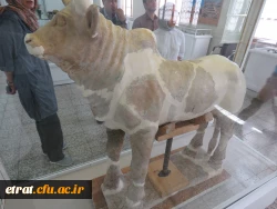 بازدید علمی  از موزه ملی ایران

 2