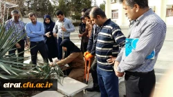 هفته درختکاری 2