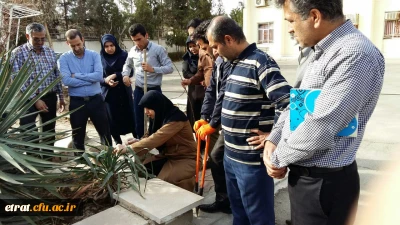 هفته درختکاری