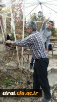 هفته درختکاری 6