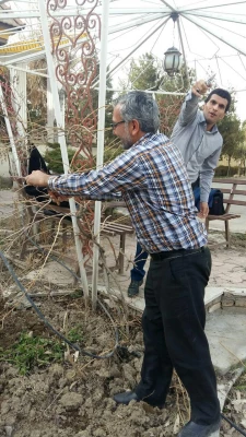 هفته درختکاری 6