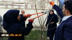 هفته درختکاری 7