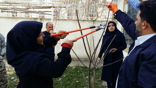 هفته درختکاری 7