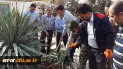 هفته درختکاری 8