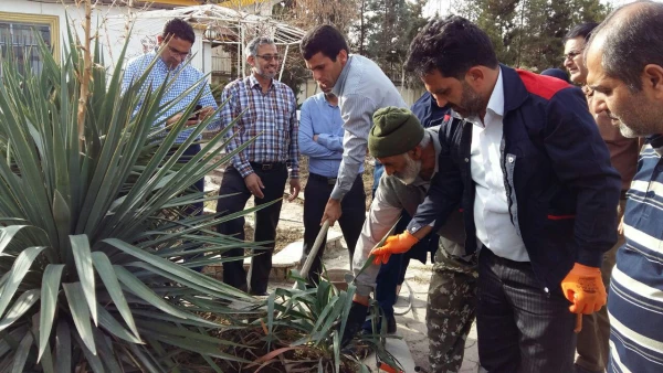 هفته درختکاری 8