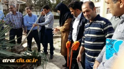 هفته درختکاری 9