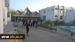 نرمش صبحگاهی 5