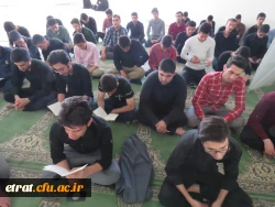 مراسم عزاداری شهادت امیرالمومنین علی بن ابیطالب (ع) 3