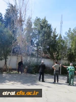 زیباسازی فضای سبز و نقاشی دیوار ساختمانهای آموزشی و رفاهی 2