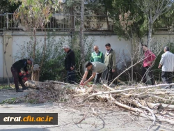 زیباسازی فضای سبز و نقاشی دیوار ساختمانهای آموزشی و رفاهی 3