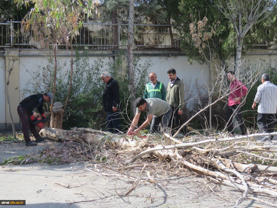 زیباسازی فضای سبز و نقاشی دیوار ساختمانهای آموزشی و رفاهی 3
