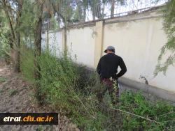 زیباسازی فضای سبز و نقاشی دیوار ساختمانهای آموزشی و رفاهی 4