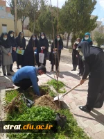 روز درختکاری 2