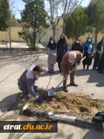 روز درختکاری 3