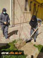 روز درختکاری 4