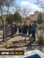 روز درختکاری 5