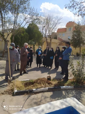 روز درختکاری 5