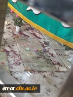 همایش پیاده روی کارکنان و دانشجویان مرکز عترت به مناسبت گرامیداشت دومین سال شهادت سردار دلها حاج  قاسم سلیمانی 8