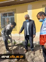 گرامیداشت روز درختکاری
 3