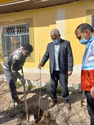 گرامیداشت روز درختکاری
 3