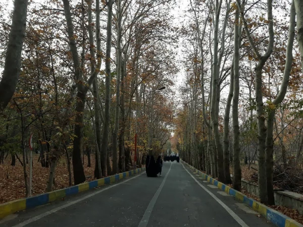 photo_2022-12-03_09-22-06