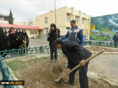 روز درختکاری