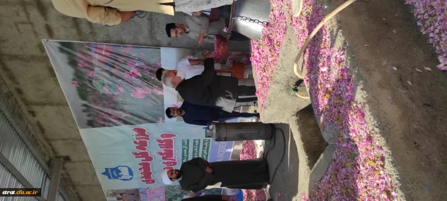 حضور ریاست محترم و پرسنل مرکز در جشنواره گلاب گیری 6